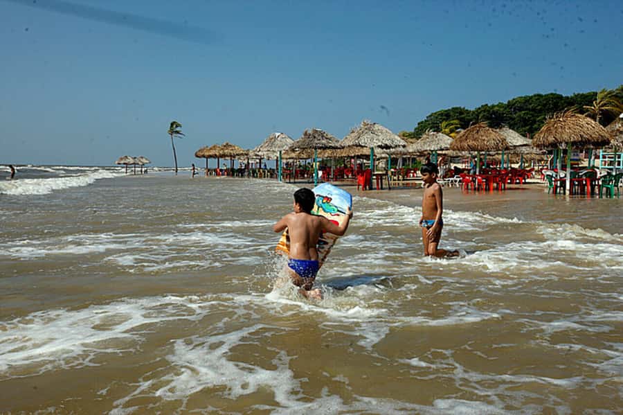 Belém: Marajó Island Day Trip with Buffalo Farm Visit - Craft, ceramics, and local culture: why these small stops matter