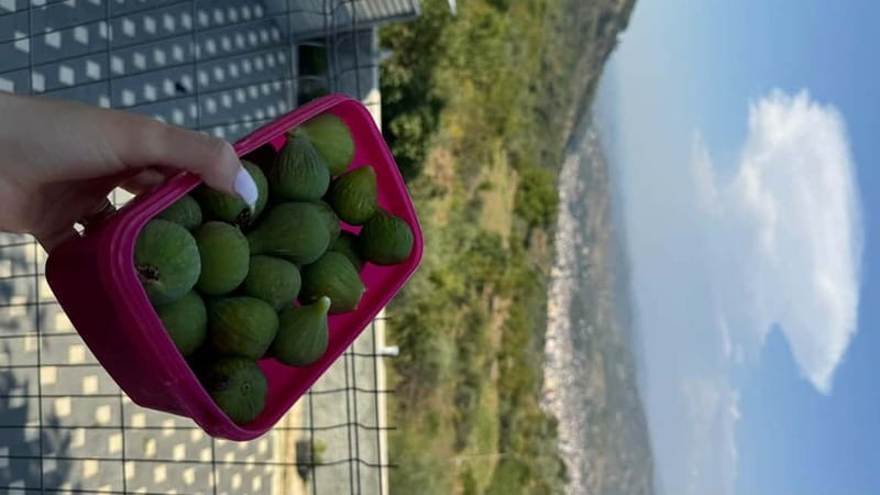 Berat: Farm-to-Table Cooking Class with Local Family - What to bring, and what to watch out for