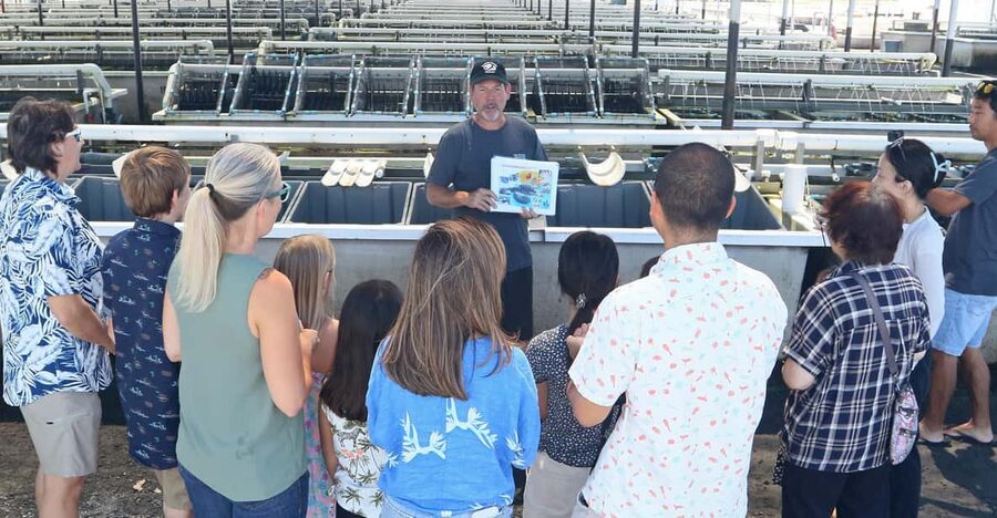Big Island: Abalone Farm Guided Tour with Tasting - Big Island Abalone: What Makes This Tour Worth Your Time