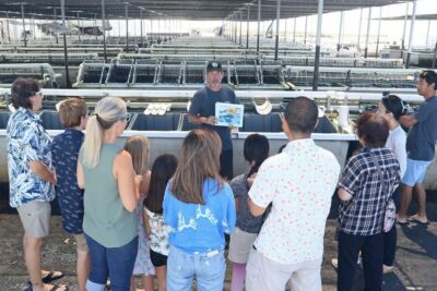 Big Island: Abalone Farm Guided Tour with Tasting - Finding the Farm Office at 73-357 Makako Bay Dr