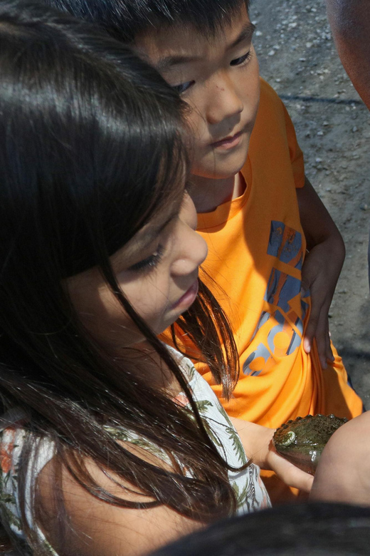 Big Island: Abalone Farm Guided Tour with Tasting - Price and Value: Why $31 Feels Fair for This Format