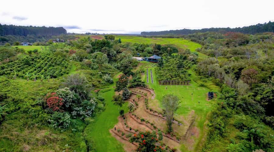 Big Island Hawaii: Craft Chocolate Tasting and Farm Tour - Key Things That Make This Tour Worth Your Time