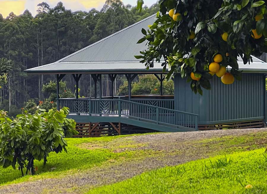 Big Island Hawaii: Craft Chocolate Tasting and Farm Tour - Fermentation Room: The Step Most People Never See