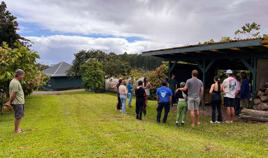 Big Island Hawaii: Craft Chocolate Tasting and Farm Tour - What You’ll Taste: 10+ Single-Origin Bars and Farm-Stage Snacks