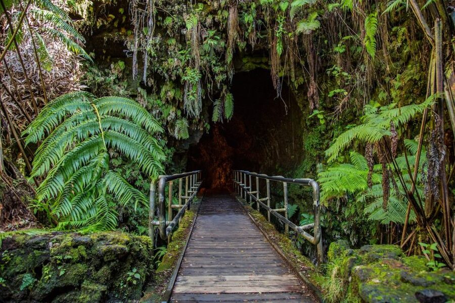 Big Island: Volcanoes, Waterfalls, & Coffee Farm Day-Trip - What makes the guides such a big deal here