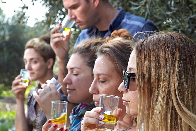 Bio Farm Private Olive Oil Tasting, Farm to Fork Meal & Temple of Poseidon Tour - Key highlights