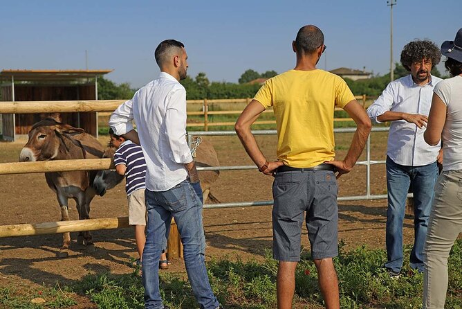 Biodynamic Farm and Natural Wines Tasting in Lazise - Key highlights at a glance