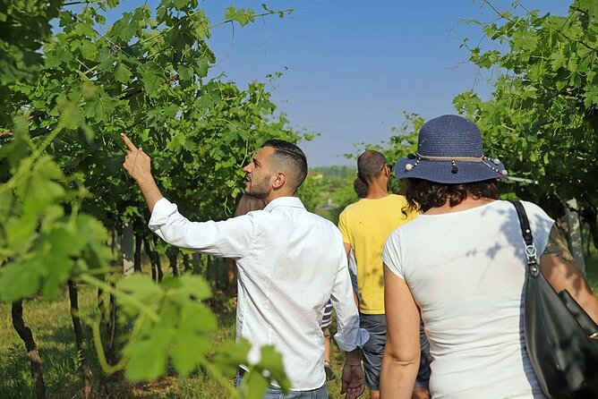 Biodynamic Farm and Natural Wines Tasting in Lazise - Terrrace-Time Pairing: Veronese Cold Cuts and Cheese