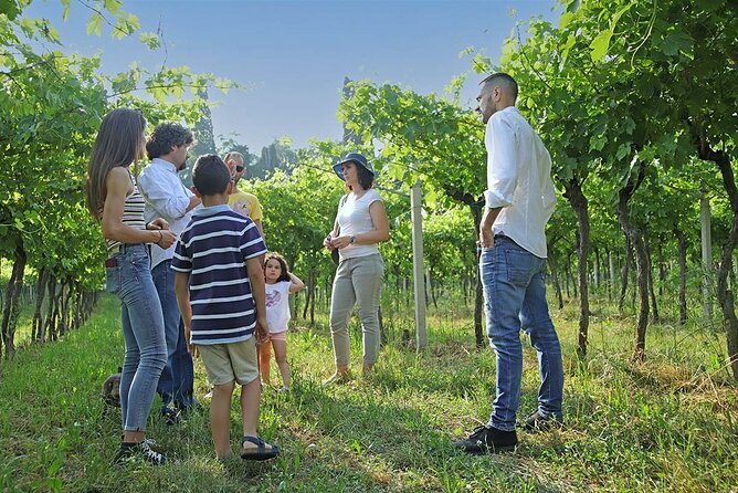 Biodynamic Farm and Natural Wines Tasting in Lazise - Touring the Farm Stops: La Pesenata, Cola, and Lazise
