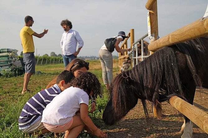 Biodynamic Farm and Natural Wines Tasting in Lazise - Price and Value: What You Get for $50.47 in Lazise