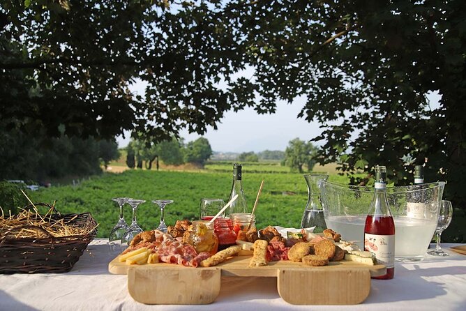 Biodynamic Farm and Natural Wines Tasting in Lazise - Who This Biodynamic Wine Tour Is Best For