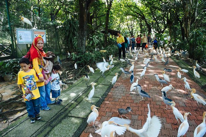 Bird Park & Butterfly Farm Nature Include All Entrance Tour From Kuala Lumpur - Taman Orkid Kuala Lumpur: orchid variety in a compact, scenic garden stop