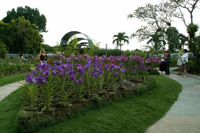 Bird Park & Butterfly Farm Nature Tour From Kuala Lumpur - Why This Bird Park Free-Flight Setup Matters in KL