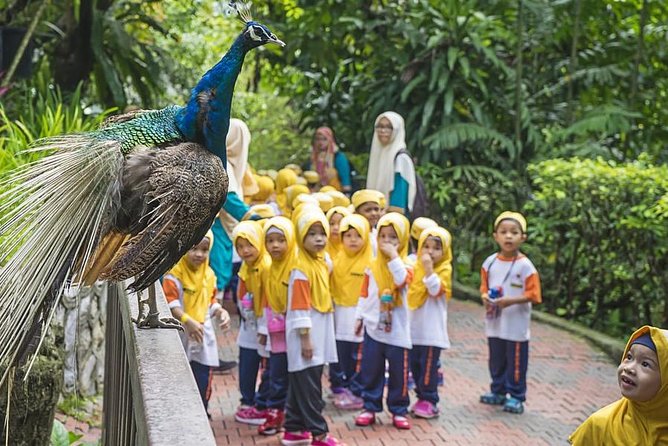 Bird Park & Butterfly Farm Nature Tour From Kuala Lumpur - Butterfly Park Time: Fern Clumps, Scented Flowers, and 5,000 Flutters