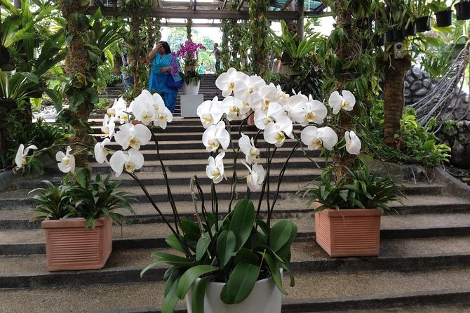 Bird Park & Butterfly Farm Nature Tour From Kuala Lumpur - Taman Orkid & Bunga Raya: Orchid Types You Can Actually Spot
