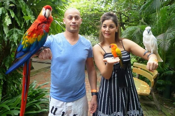 Bird Park & Butterfly Farm Nature Tour From Kuala Lumpur - Price and Value: What Your $34 Covers (and What It Doesn’t)