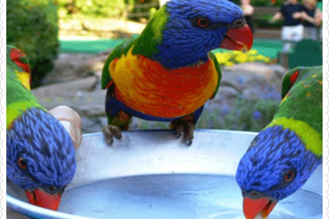 Bird Sanctuary and animal farm Day Tour - Key things to know before you go