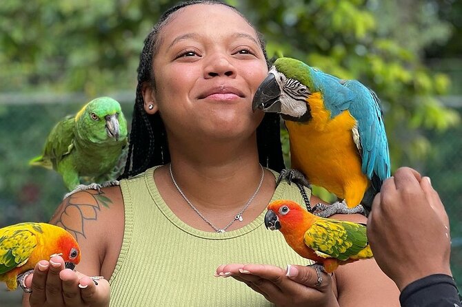 Bird Sanctuary and animal farm Day Tour - Rockland Bird Sanctuary: what the 3-hour rhythm feels like