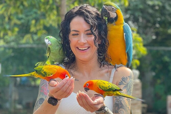 Bird Sanctuary and animal farm Day Tour - The Anchovy animal farm stop: pet and play time