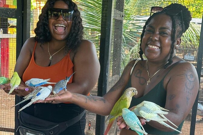 Bird Sanctuary and animal farm Day Tour - Guides and photo help: why Tajay and Andre-style guiding shows up