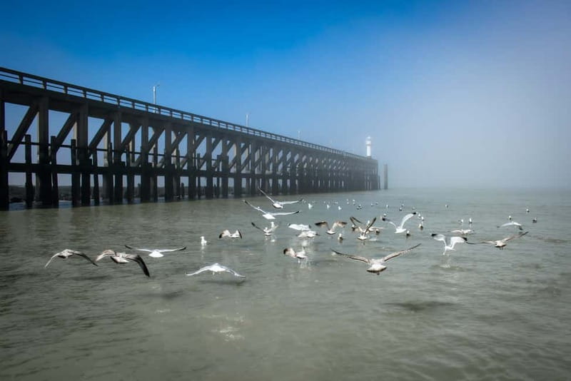 Blankenberge: Offshore Wind Farm Tour by Boat - Price and Value: Is $104 Worth It?