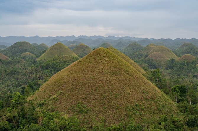 Bohol Chocolate Making and Farm Tour - From Chocolate Hills area to a real cacao farm day