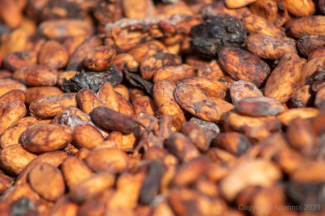 Boti Falls, Umbrella Rock, Aburi Gardens & Cocoa Farm Day Tour - Key things to know before you go