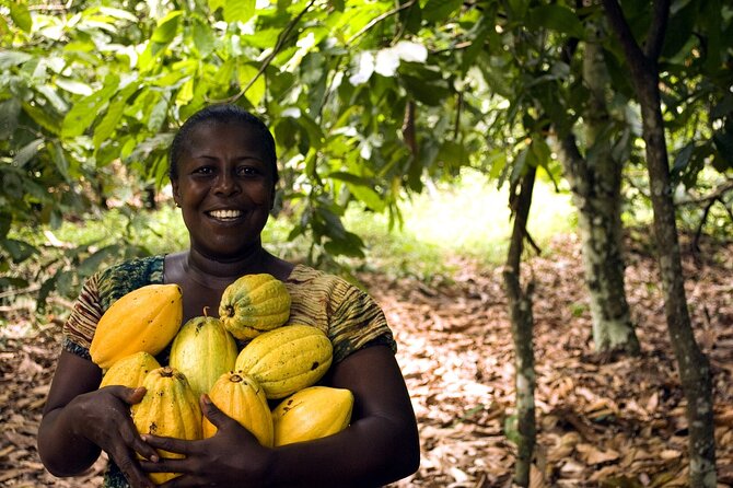 Boti Falls, Umbrella Rock, Aburi Gardens & Cocoa Farm Day Tour - A day built for nature and real tastes in Eastern Ghana