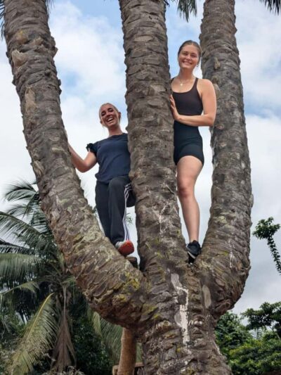 Boti Falls, Umbrella Rock, Aburi Gardens & Cocoa Farm Tour - Aburi Botanical Gardens: a guided walk through Ghana’s plant world