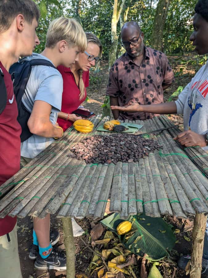 Boti Falls, Umbrella Rock, Aburi Gardens & Cocoa Farm Tour - Umbrella Rock viewpoints: the photo stop with real stairs and steep bits
