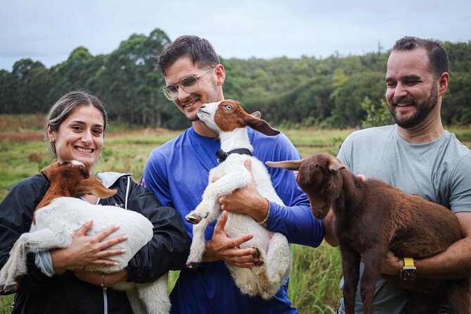 Bottle Feed & Cuddle Baby Goats at Ohana Ranch (Big Island) - The playful photo moment and peaceful farm pause