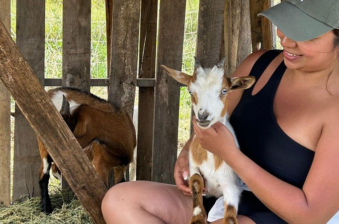 Bottle Feed & Cuddle Baby Goats at Ohana Ranch (Big Island) - Practical tips for making your hour go smoothly