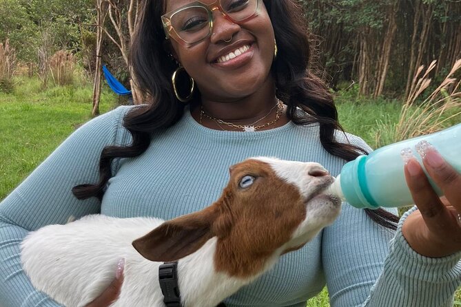 Bottle Feed & Cuddle Baby Goats at Ohana Ranch (Big Island) - Price and value: what you’re really paying for at $39