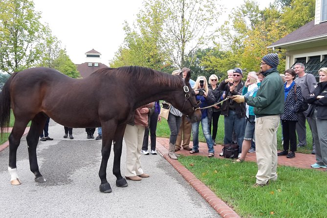 Bourbon Distillery & Horse Farm Tours - Stop Spotlight: Lexington’s Bourbon Trail Options
