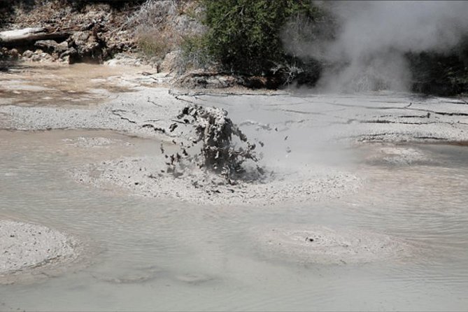 Boutique tour , Mt Maunganui, NZ farm, Rotorua lakes/geothermal - Mt Maunganui Main Beach: Bay of Plenty in a 15-minute hit
