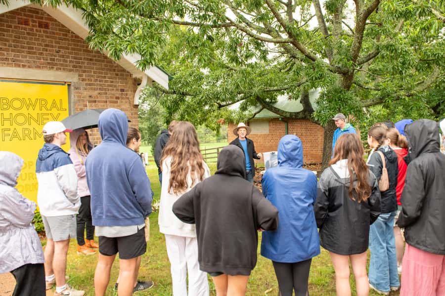 Bowral Honey Farm Tour, Honey Tasting & morning Tea - Key things to know before you go