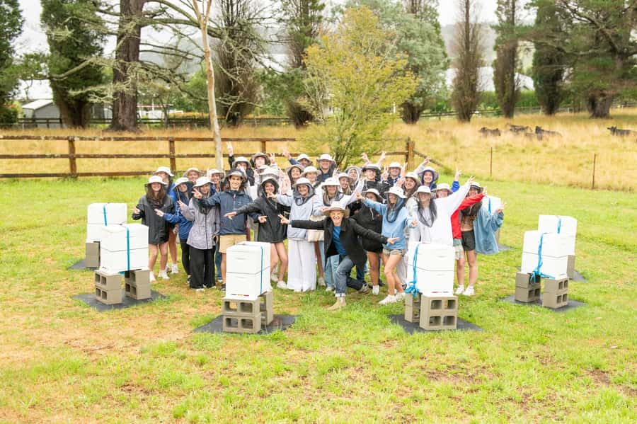 Bowral Honey Farm Tour, Honey Tasting & morning Tea - Guided honey tasting on the terrace: compare floral honeys by look and mouthfeel