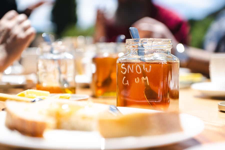 Bowral Honey Farm Tour, Honey Tasting & morning Tea - Morning tea, sourdough, and the farm gate honey shop