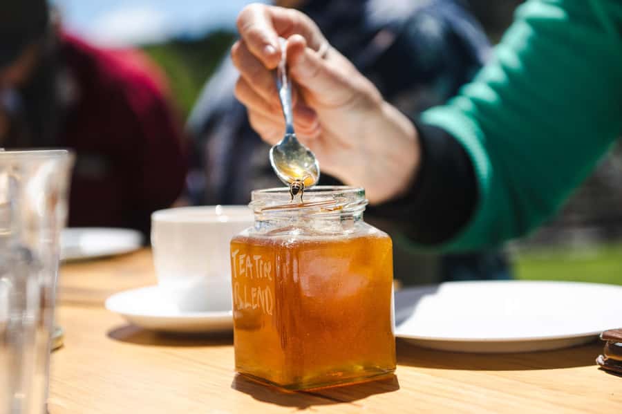 Bowral Honey Farm Tour, Honey Tasting & morning Tea - Who should book this honey farm tour (and who should skip)