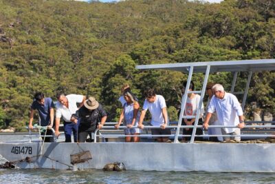 Broken Bay Pearl & Oyster Farm Tours - Why this tour can feel like good value at $29