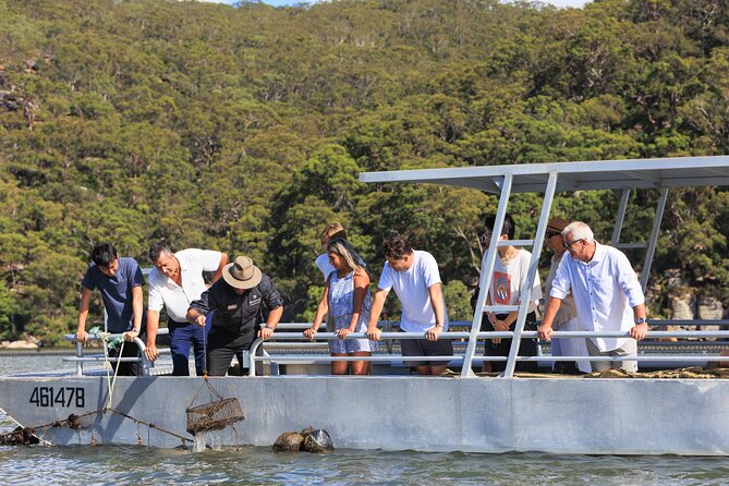 Broken Bay Pearl & Oyster Farm Tours - Why this tour can feel like good value at $29