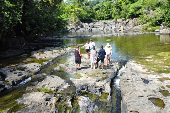 Buggy Ride, Horseback, Zipline,Eco Farm,Macao Beach - Lunch by the River Plus Chocolate and Tobacco Stops