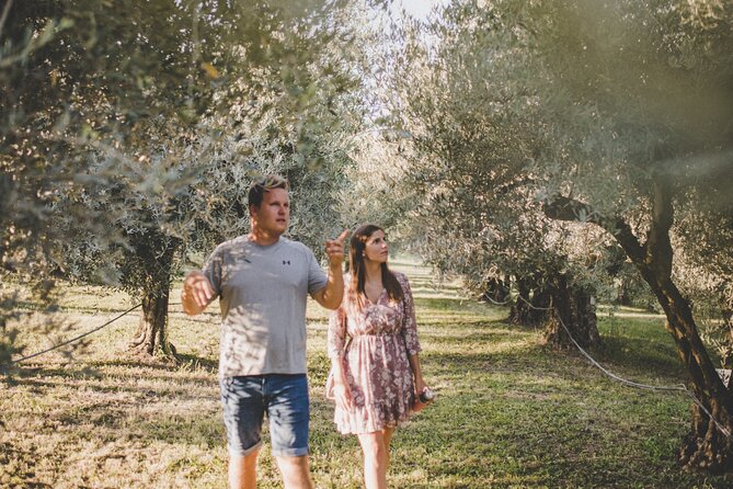 Buje: Authentic Istrian family farm, guided walk, foods & wine - What You Do on the Walk: Orchard, Olive Groves, and Vineyards