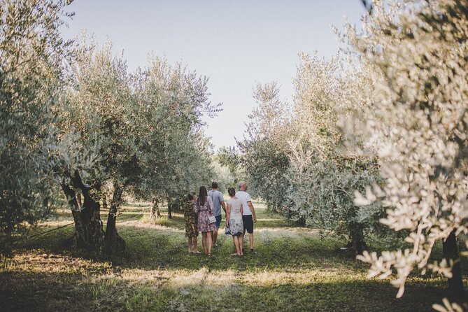 Buje: Authentic Istrian family farm, guided walk, foods & wine - Olive Oil Sommelier: Learning to Taste Subtle Differences