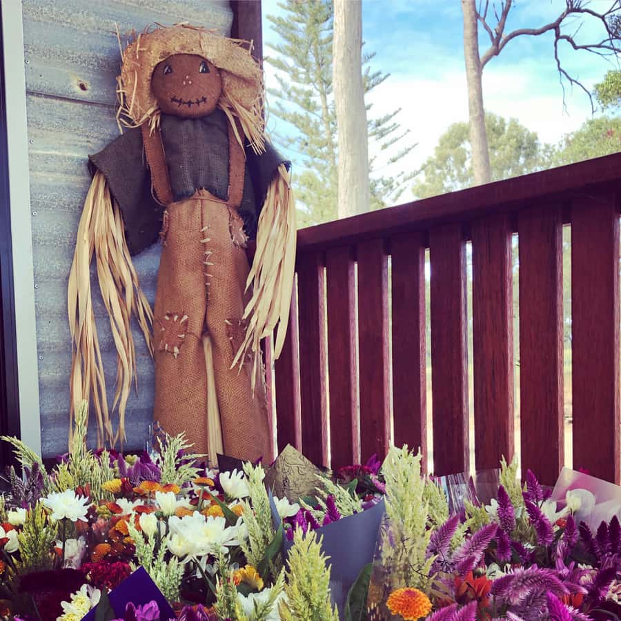 Bundaberg: Family-Friendly Entry Ticket to Splitters Farm - Key things I’d plan around