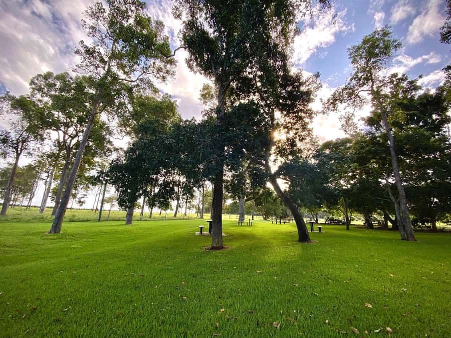 Bundaberg: Family-Friendly Entry Ticket to Splitters Farm - Your Self-Guided Paddock Loop: feeding 400+ rescued animals