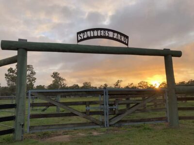 Bundaberg: Family-Friendly Entry Ticket to Splitters Farm - Check-In at the Main Office: what orientation looks like