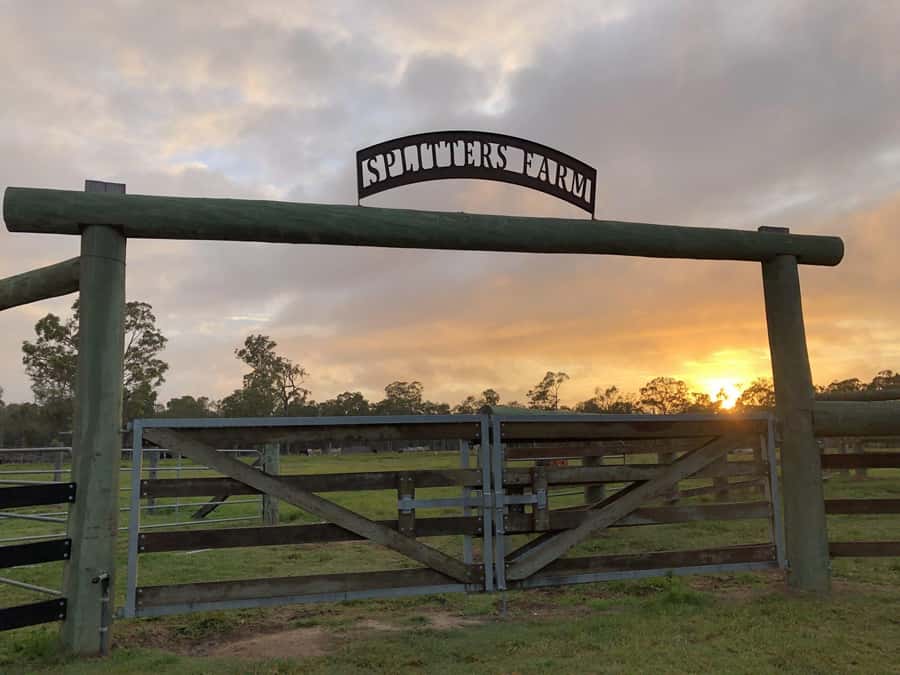 Bundaberg: Family-Friendly Entry Ticket to Splitters Farm - Check-In at the Main Office: what orientation looks like