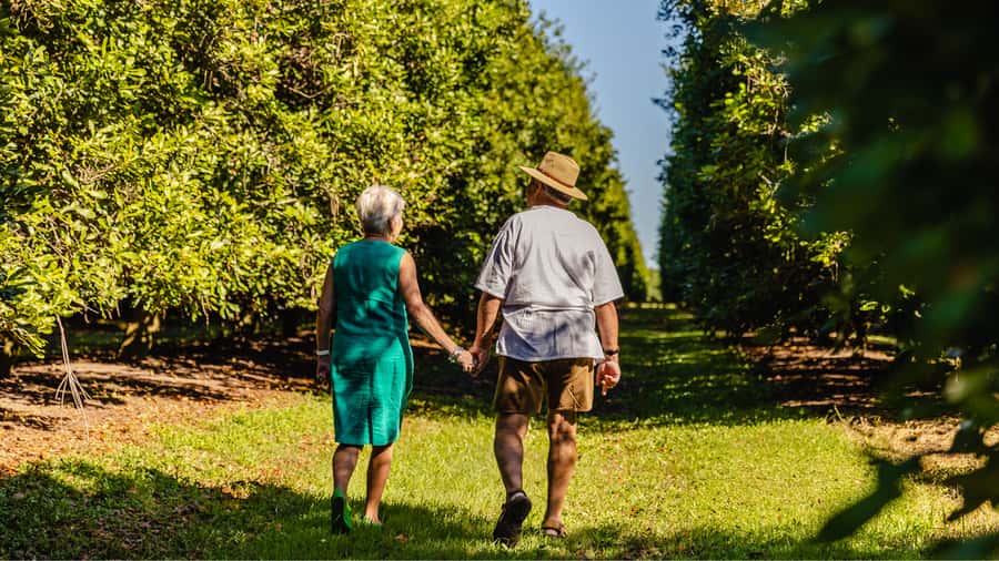 Bundaberg: Macadamia Orchard Tour - The Steinhardt family story: why this farm matters beyond the nuts