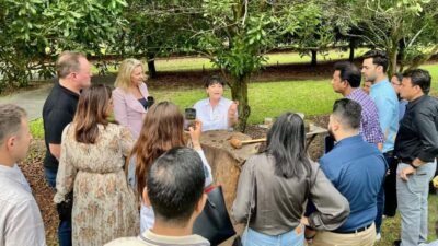Bundaberg: Macadamia Orchard Tour - Walk Macadamia Lane: from discovery to a global premium nut